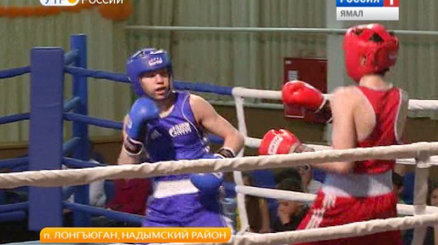 Бокс пангоды. Тренера по боксу губкин. Надым соревнования по боксу. Первенство янао по боксу. Бокс пангоды.