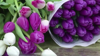 Тюльпаны вместо манифестов: как 8 Марта стал самым нежным днем в году