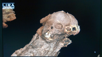 Ученые перевели в 3D ямальскую мумию средневекового мальчика
