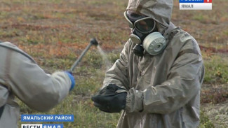 Борьбу с сибирской язвой обсудят на международном симпозиуме в Салехарде