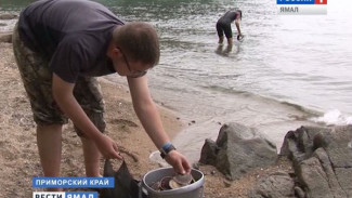 Море здоровья! Молодые ученые Приморского края хотят создать чудо-лекарство от рака