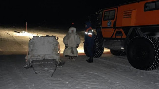 Отцепились сани: на Ямале тундровик потерял ребенка на зимнике