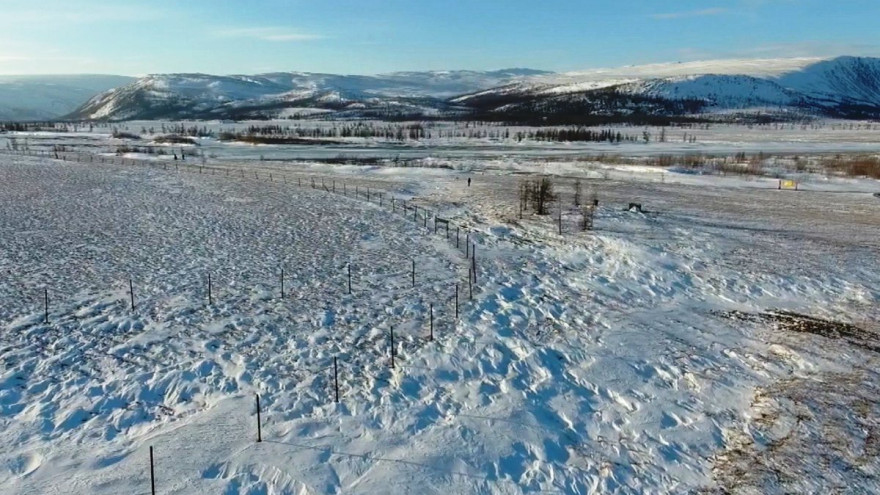На Ямале впервые установили пункты биомониторинга почвы