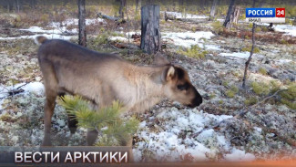 Вести Арктики. Эфир от 09.05.2026 (14:30)