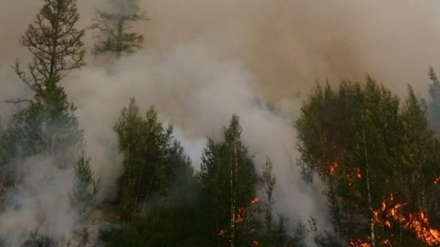 На Ямале из-за халатности сотрудников заповедника многократно увеличилась площадь лесного пожара
