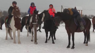 В Архангельской области создали конный поисковый отряд 