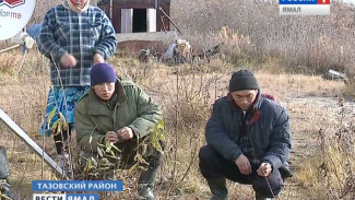 Ни дров, ни печника. Проблемные будни жителей рыбацких песков