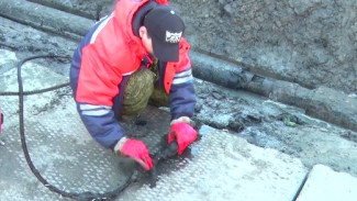 Ярсалинских коммунальщиков шокировала причина канализационного засора