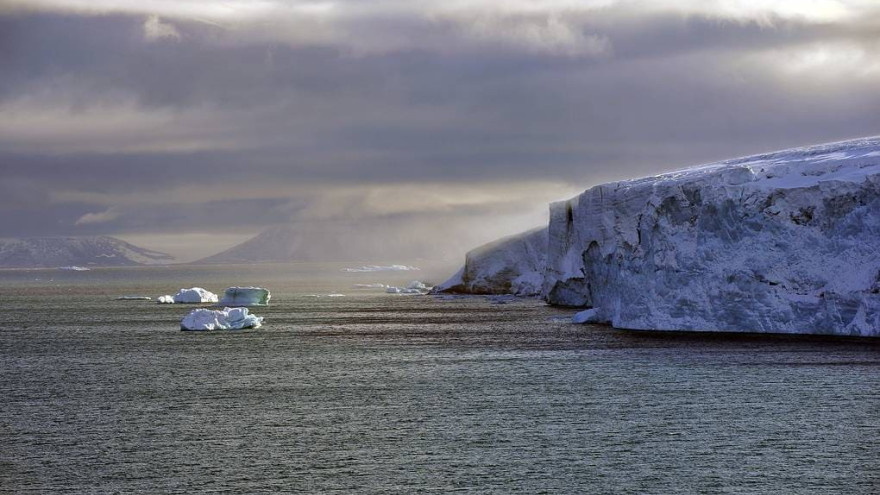 Изменение климата в Арктике ведет к росту числа инфекций