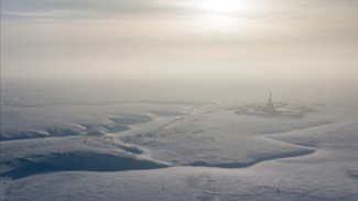 На Ямале открыли крупнейшее за 30 лет нефтяное месторождение