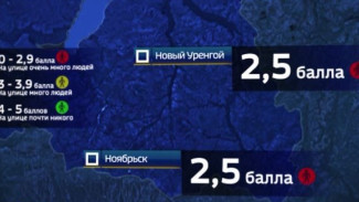 «Яндекс» продолжает следить за соблюдением самоизоляции: Ноябрьск и Новый Уренгой - в числе нарушителей