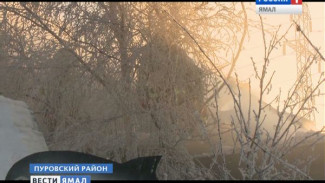 В здании Пенсионного фонда Тарко-Сале случился пожар