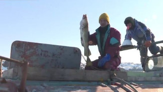 В Мурманской области рыбакам-любителям разрешили выходить в море