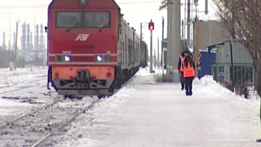 Питомец доволен - хозяин спокоен: Минтранс утвердил единые правила перевозки животных в поездах