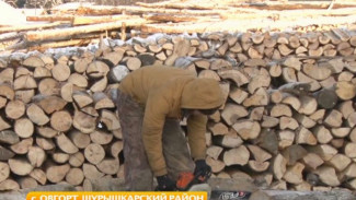 В Овгорте приступили к заготовке дров для населения