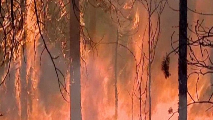 Из-за лесных пожаров на Ямале выезд на природу запретили