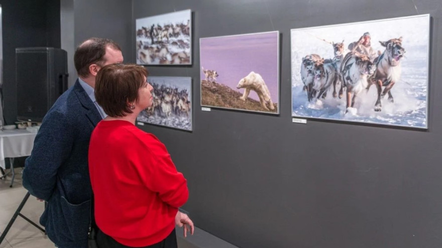 Выставка «Под полярной звездой» открылась в Салехарде