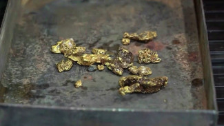 В России хотят снять запрет на добычу золота частниками