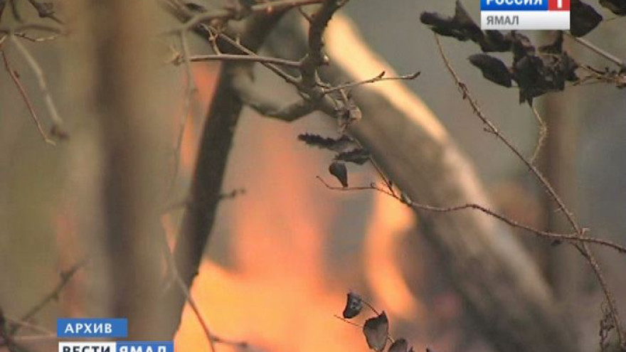 На Ямале за сутки ликвидировано 9 природных пожаров