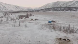 Всегда на посту и на страже природы: 26 февраля на канале «Россия 24» - «Арктический патруль»