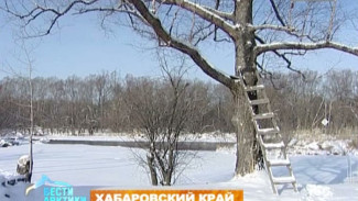 В национальном парке Анюйский стартовала большая программа альтернативной энергии на заповедной территории