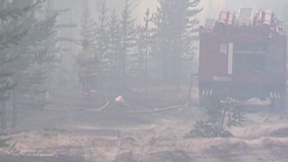 На Ямале бушуют три природных пожара: где горят леса и удается ли локализовать огонь
