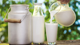 Почему полезно молоко: что будет, если пить его каждый день