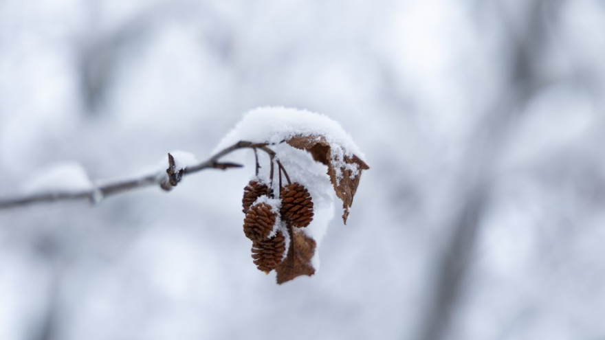 Ученые пообещали жителям Ямала спокойный март без мощных магнитных бурь