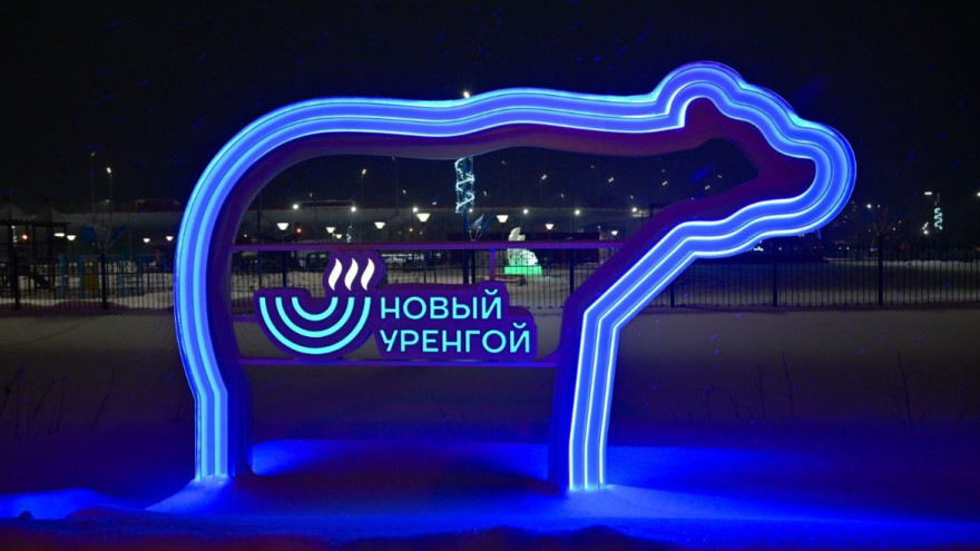 Новый Уренгой претендует на звание «Город молодежи»: чья поддержка необходима