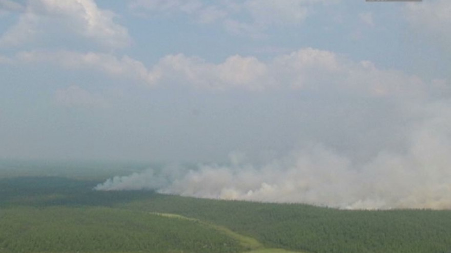 На Ямале действуют 5 лесных пожаров