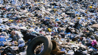 На Ямале стоимость вывоза мусора может вырасти в 33 раза