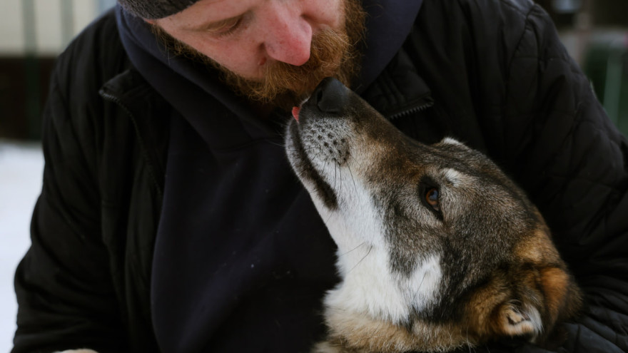 Жителей Салехарда приглашают в приют 1 февраля помочь с выгулом и уборкой