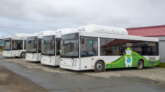 В Салехарде семь новых экоавтобусов выйдут на городские маршруты до конца года 