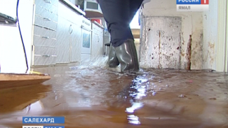Столица Ямала и вешние воды. Как жители окраин переживают весенние потопы в своих квартирах