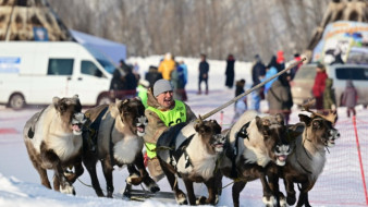 День оленевода в Новом Уренгое перенесли из-за крепких морозов
