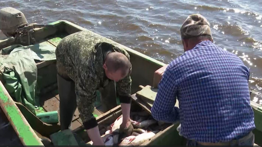 Опровергли слухи: квоты на вылов чира на реках Ямала остались прежними