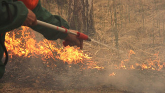 На Ямале огнеборцы тушат природный пожар, площадью около 58 гектаров 