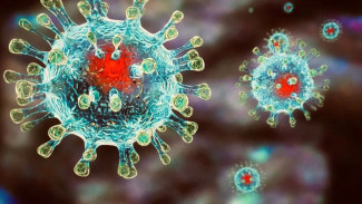 На Ямале выявлено 154 новых заболевших коронавирусом