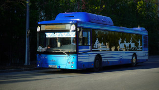 Долгожданное событие: Надым и Новый Уренгой свяжет регулярное автобусное сообщение