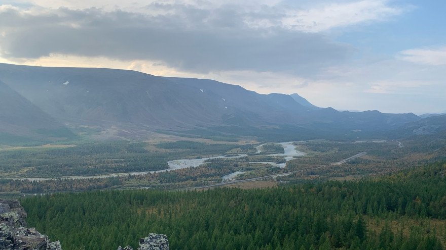 Новые виды фитопатогенных грибов обнаружены на Ямале