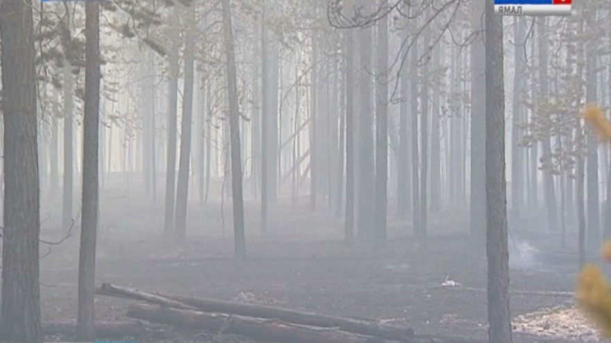 2 природных пожара заметили рядом с Ноябрьском во время авиапатрулирования