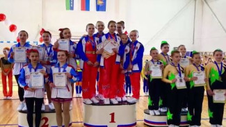 Красноселькупские гимнастки стали призерами Чемпионата и первенства Тюменской области