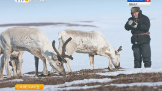 Ямальский журналист, фотограф и общественник Хабэча Яунгад празднует сегодня юбилей