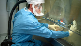 Новые заболевшие на Ямале: 13 апреля подтверждено еще 4 случая коронавируса