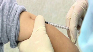 В Тазовском началась вакцинация от клещевого энцефалита