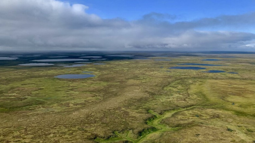Ученые: исследование Гыдана изменит представление о сценариях формирования арктического полуострова