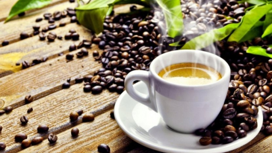 Учёные посчитали, когда может исчезнуть кофе