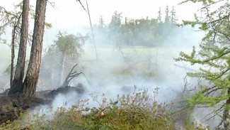 По мнению специалистов, в пожаре, произошедшем в Пуровском районе, виноваты люди 