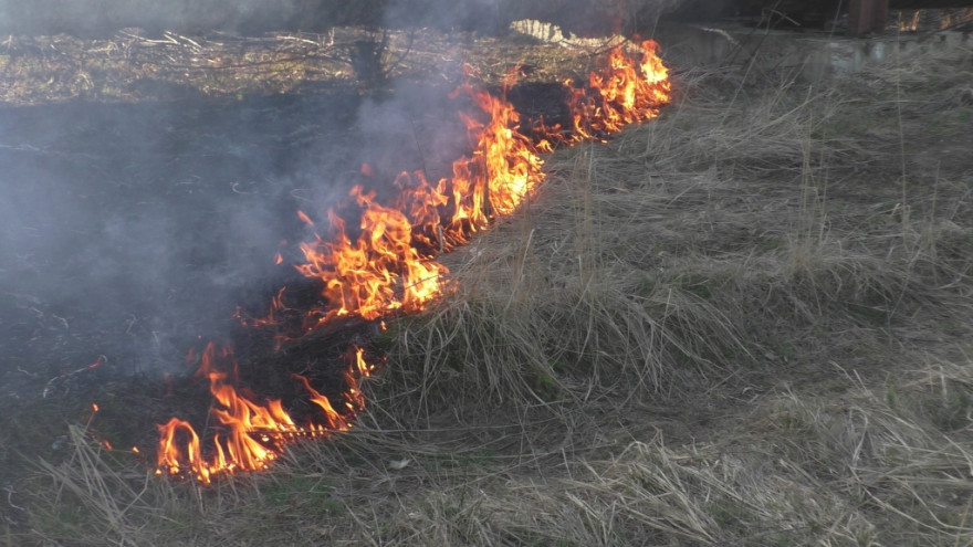В Пуровском районе тушат последний природный пожар на Ямале