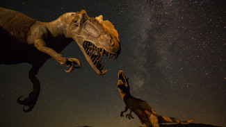 Ученые обнаружили останки арктического динозавра